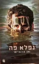 עטיפת הספר נפלא פה