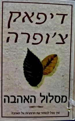 עטיפת הספר מסלול האהבה