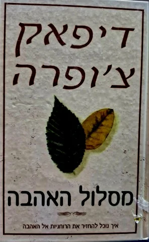 עטיפת הספר מסלול האהבה