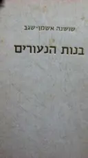 עטיפת הספר בנות הנעורים