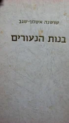 עטיפת הספר בנות הנעורים