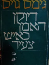 עטיפת הספר דיוקן האמן כאיש צעיר