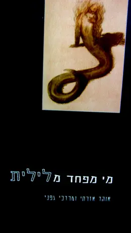 עטיפת הספר מי מפחד מלילית