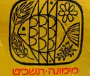 עטיפת הספר מימונה תשכט