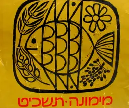 עטיפת הספר מימונה תשכט