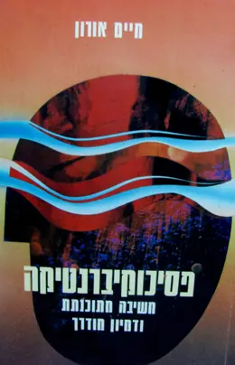 עטיפת הספר פסיכוקיברנטיקה