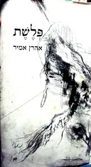 עטיפת הספר פלשת