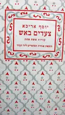 עטיפת הספר צעדים באש