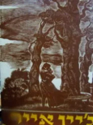 עטיפת הספר גיין אייר