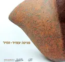 עטיפת הספר פנינה עמיר זמיר