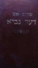 עטיפת הספר דער נביא