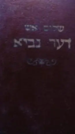 עטיפת הספר דער נביא