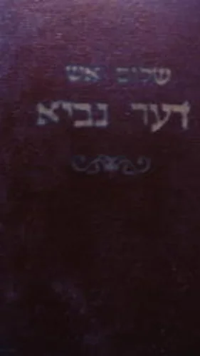 עטיפת הספר דער נביא