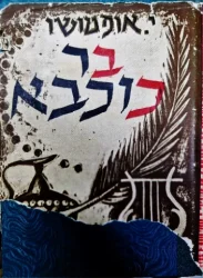 עטיפת הספר בר כוכבא