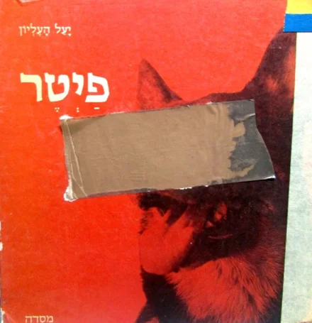 עטיפת הספר פיטר