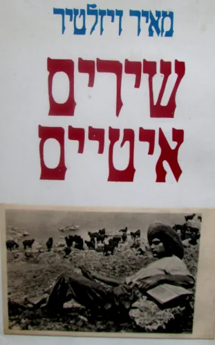 עטיפת הספר שירים איטיים