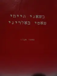 עטיפת הספר כשאני הייתי פאטי באלריני