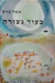 עטיפת הספר כעיר נצורה