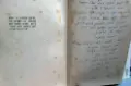 עטיפת הספר שרה שלהבת נילי