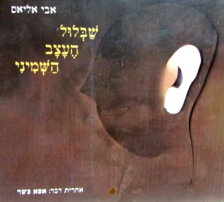 עטיפת הספר שבלול העצב השמיני