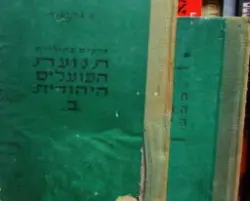 עטיפת הספר פרקים בתולדות תנועת הפועלים היהודית עד 1905 2 כרכים