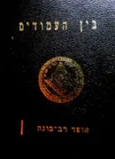 עטיפת הספר בין העמודים אוצר רב בונה כרך ג