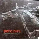 עטיפת הספר רזיה גרשון
