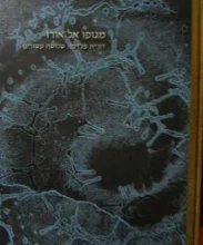 עטיפת הספר מגופו אל אורו דורית פלדמן שלושה עשורים