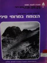 עטיפת הספר הצומח במרומי סיני