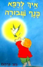 עטיפת הספר איך לרפא כנף שבורה