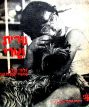 עטיפת הספר נורית וגורי