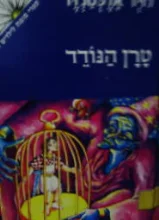 עטיפת הספר פרידיין ספר רביעי טרן הנודד