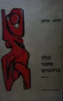 עטיפת הספר מלך אסור ברהטים
