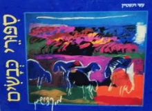 עטיפת הספר ספורי כבשים