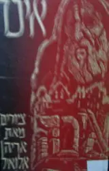 עטיפת הספר איכה