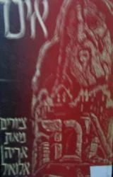 עטיפת הספר איכה