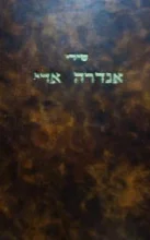 עטיפת הספר שירי אנדרה אדי