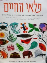 עטיפת הספר פלאי החיים