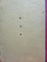 עטיפת הספר האדם שהיה לענק