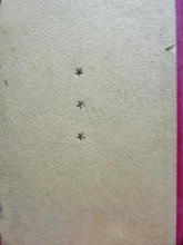 עטיפת הספר האדם שהיה לענק