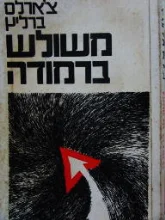 עטיפת הספר משולש ברמודה