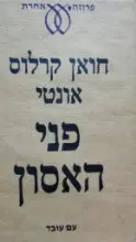 עטיפת הספר פני האסון