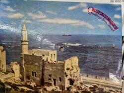 עטיפת הספר גלויה מנגנת זמר נודד/אל גינת אגוז-שנה טובה ומאושרת