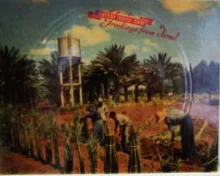 עטיפת הספר גלויה מנגנת פעמוני הצאן/פזמון הגז-שנה טובה ומאושרת