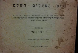 עטיפת הספר לוח הפעלים השלם