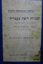 עטיפת הספר הספרות היפה בעברית המקורית והמתורגמת