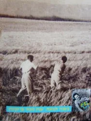 עטיפת הספר בשנה הבאה שנות טובות מן הקיבוץ