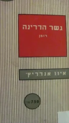 עטיפת הספר גשר הדרינה