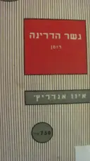 עטיפת הספר גשר הדרינה