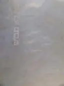 עטיפת הספר אשה לא תבוש